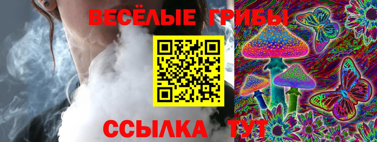 Галлюциногенные грибы Psilocybe Новозыбков