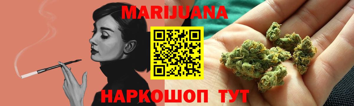 МАРИХУАНА план Новозыбков